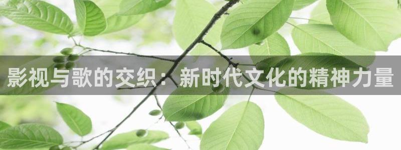 电影大全免费在线观看星辰影院