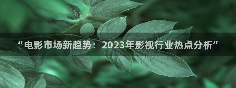 星辰影视公司