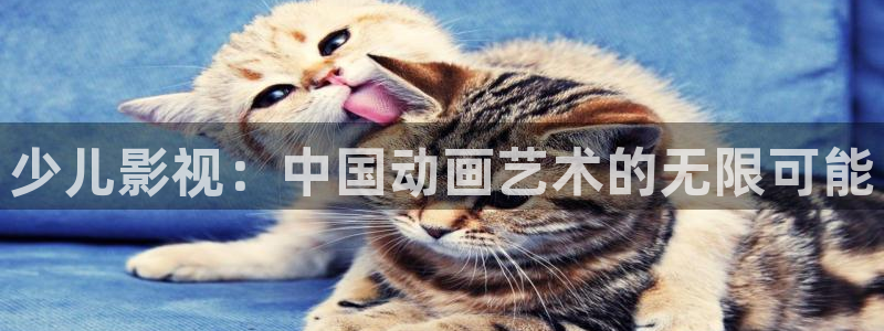 大全星辰影院免费观看