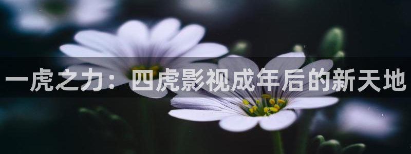 独孤天下星辰影视免费观看
