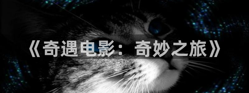 似锦电视剧免费观看完整版星辰影院