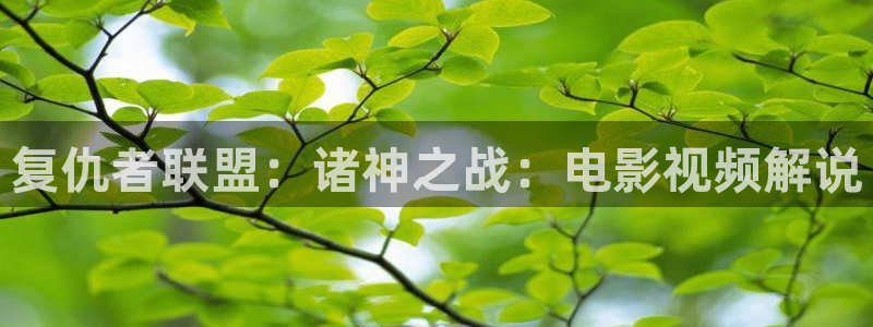 上海星辰大海影视公司