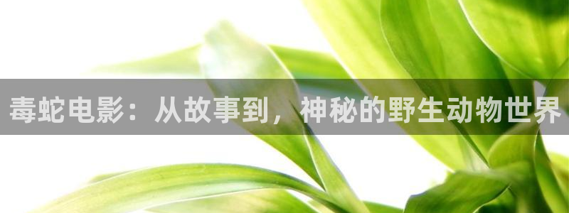 真相星辰影院在线观看