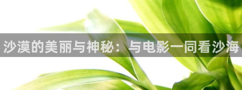 星辰影院在线免费观看电视剧