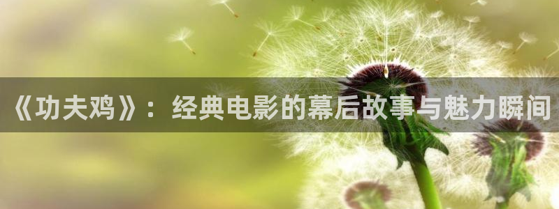 星辰影院高清免费播放电视剧大全