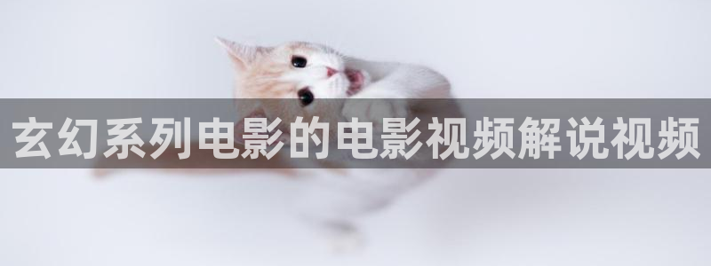 亲爱的隐居先生星辰影院
