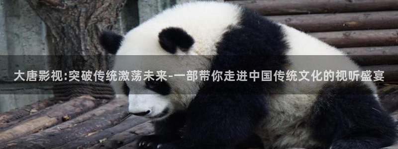 爱丫爱丫星辰在线影院电视剧