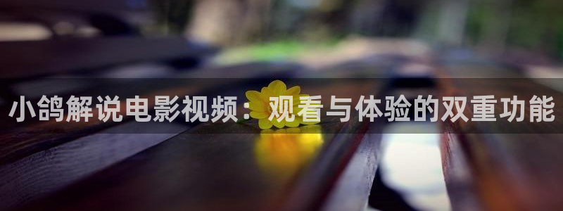 2026星辰影院：小鸽解说电影视频：观看与体验的双重功能