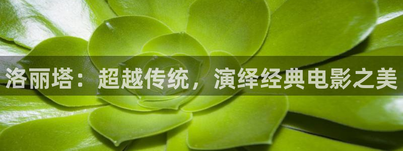 星辰影视影院免费观看电视剧电影：洛丽塔：超越传统，演绎经典电影之美