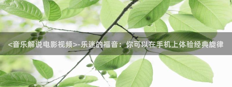 你是我的荣耀在线观看星辰影院