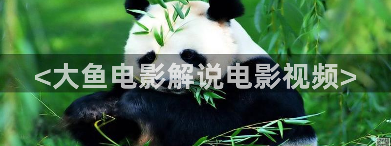 幸福到万家星辰影院免费看：<大鱼电影解说电影视频>