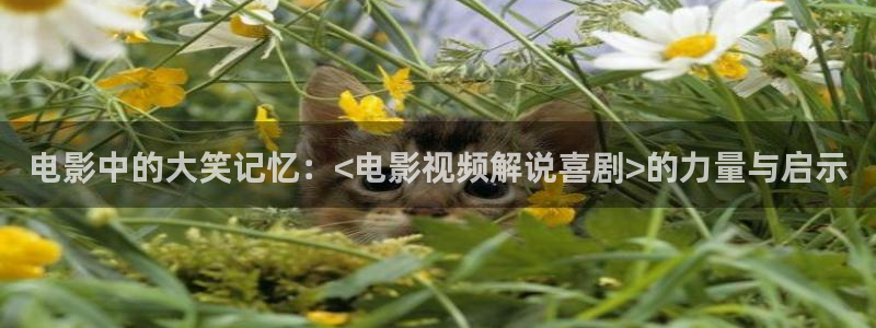 在线电影星辰