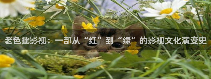 星辰影院在线观看.：老色批影视：一部从“红”到“绿”的影视文化演变史