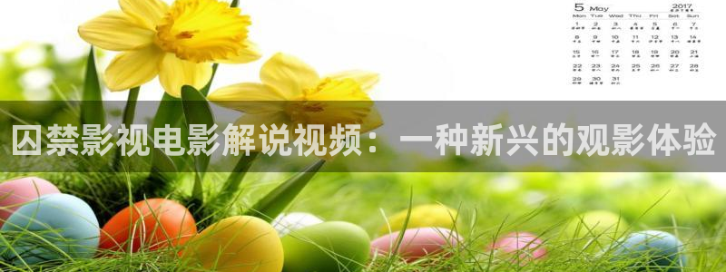 星辰影院归路免费版：囚禁影视电影解说视频：一种新兴的观影体验