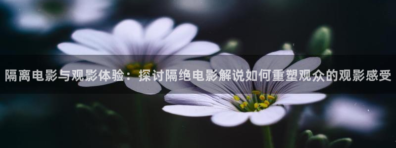 一起来看流星雨星辰影院：隔离电影与观影体验：探讨隔绝电影解说如何重塑观众的观影感受