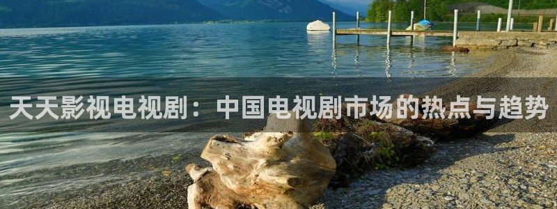 星辰影院高清追剧：天天影视电视剧：中国电视剧市场的热点与趋势