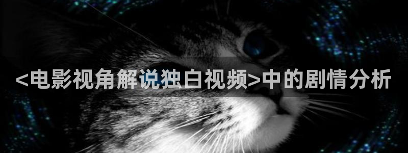 星辰影院2026年：<电影视角解说独白视频>中的剧情分析