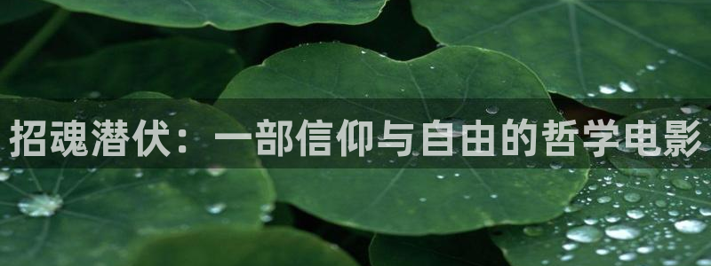 长相思第一季免费观看星辰影院：招魂潜伏：一部信仰与自由的哲学电影