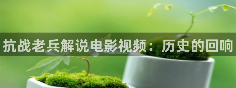 妖神记第五季免费观看星辰影院：抗战老兵解说电影视频：历史的回响