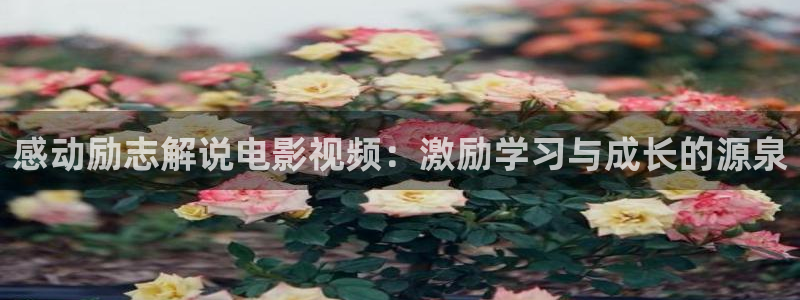 奔跑吧第13季星辰影院免费观看：感动励志解说电影视频：激励学习与成长的源泉