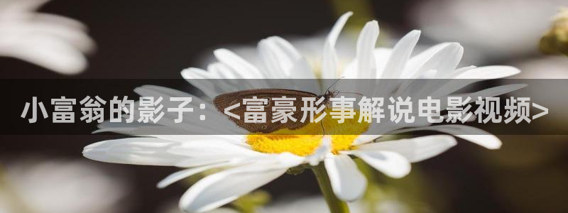 下载星辰影视：小富翁的影子：<富豪形事解说电影视频>