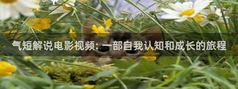 星辰影院花间令：气短解说电影视频: 一部自我认知和成长的旅程