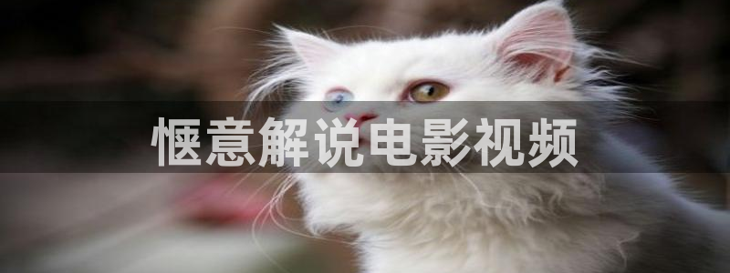 狂飙电视剧免费观看完整版高清星辰影视：惬意解说电影视频