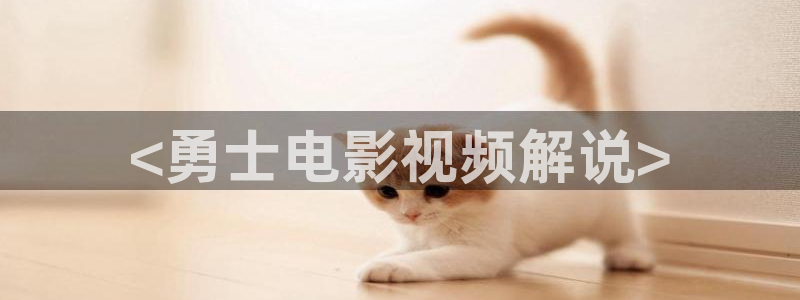 长相思第二季免费看星辰影院：<勇士电影视频解说>