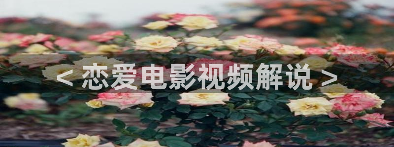 星辰影视蛮好的人生
