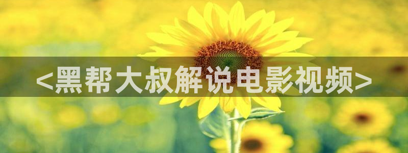 网剧《冬至》星辰影院