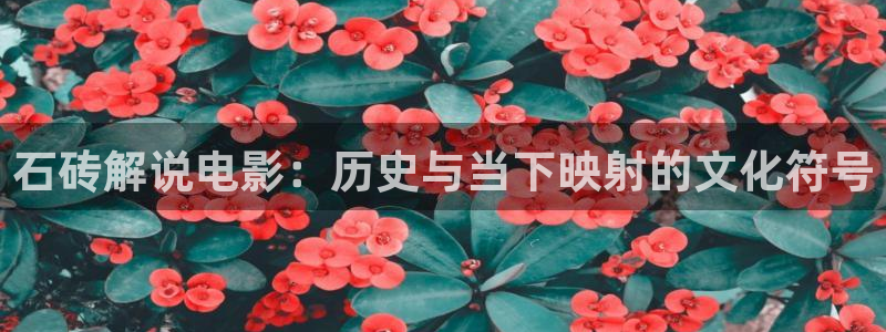 少帅电视剧星辰影院