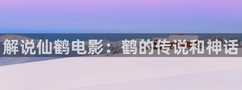 星辰视频免费高清在线观看电影