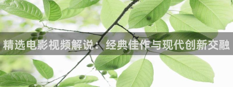 天道星辰影院