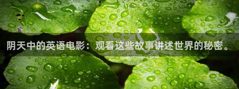 以家人之名电视剧免费观看星辰影院
