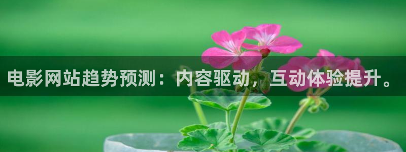 好先生电视剧免费播放星辰影视