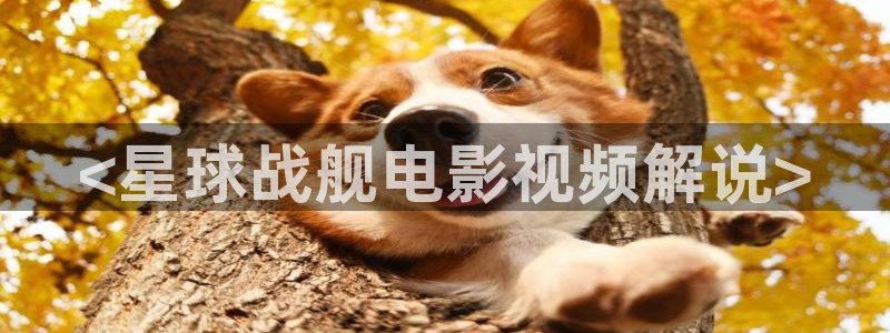 排球少年星辰影院在线观看
