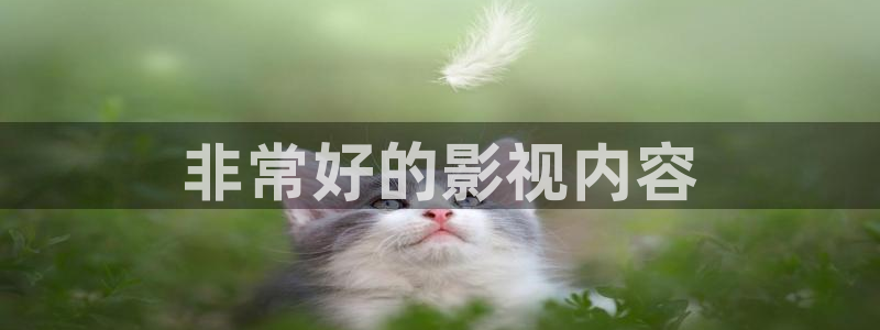 海贼王在线观看免费全集星辰影视