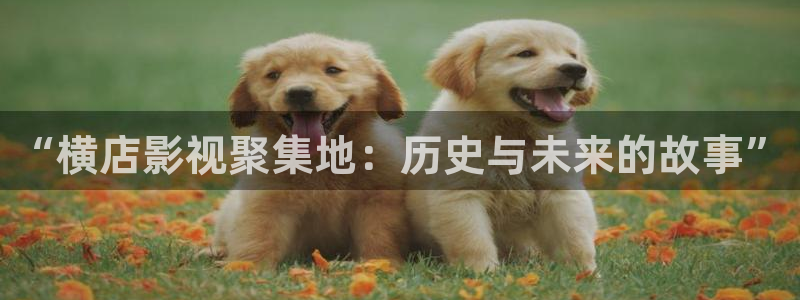 星辰影院电影免费在线观看