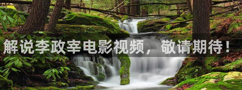 扫黑风暴在线观看免费完整版星辰影院