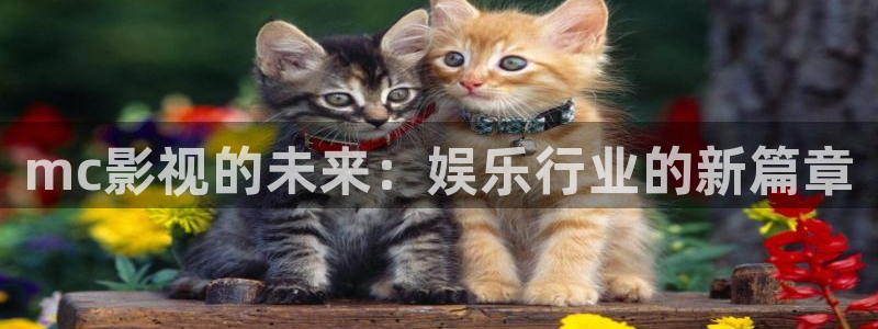 星辰影院在线观看免费观看电视剧
