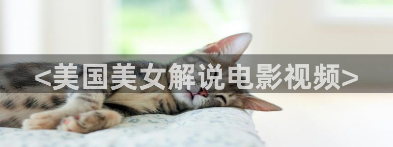 何以笙箫默36集免费观看星辰影视