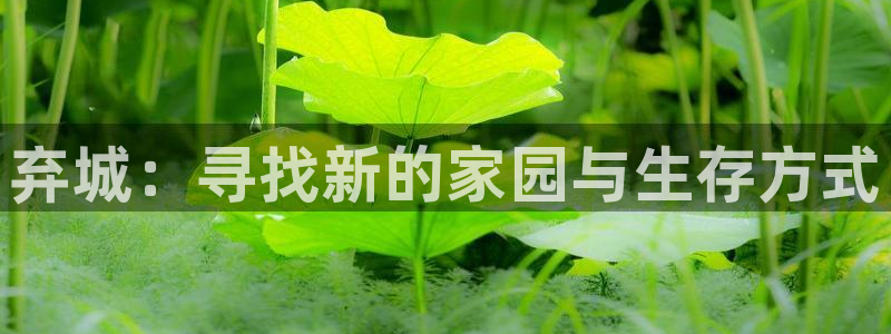 星辰影院免费观看电视剧电影