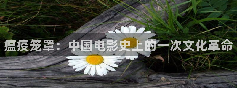 星辰影视旧版