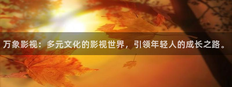 云襄传星辰影院
