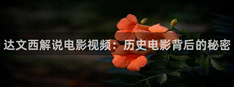 星辰电影院在线观看：达文西解说电影视频：历史电影背后的秘密