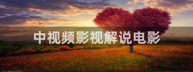 星辰视频在线观看免费完整版电影：中视频影视解说电影