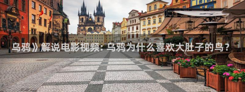 星辰影院大全免费观看官网：乌鸦》解说电影视频: 乌鸦为什么喜欢大肚子的鸟？