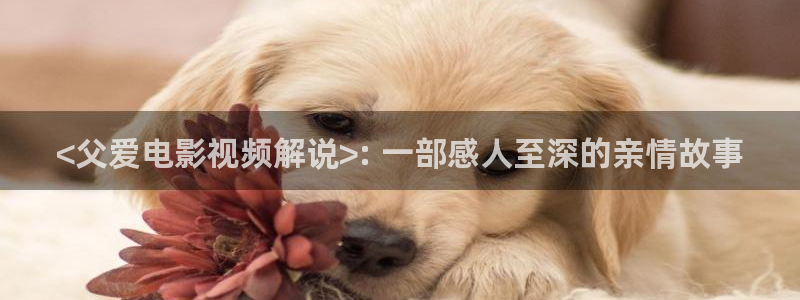 午夜星辰电影免费观看：<父爱电影视频解说>: 一部感人至深的亲情故事