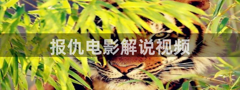 雄狮少年在线观看完整版免费语星辰影院